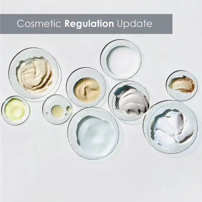 Makeup Regulation Service In Chennai